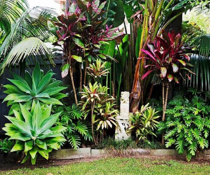 taman minimalis belakang rumah bergaya tropis